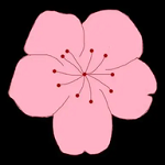 快播app最新版